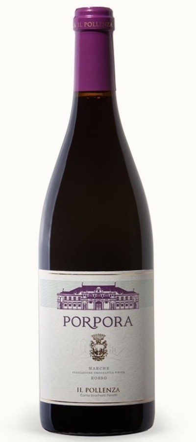 Il Pollenza - Porpora - Marche IGT Rosso
