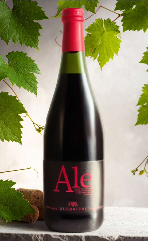 Guerrieri - Ale